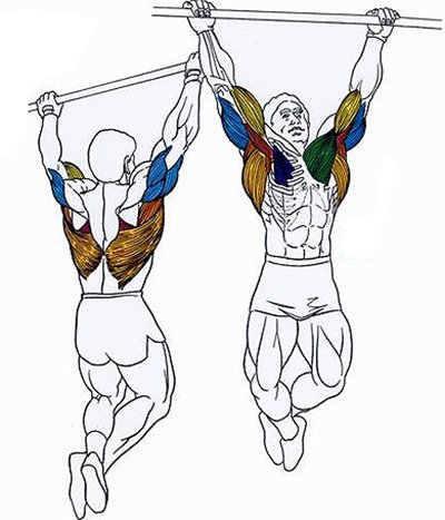 Набирания на лост — Dias Sport лост, подходящ за набирания