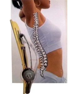 Регулируема подложка за кръст — Dias Sport Регулируема подложка за кръст-опора