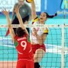 Δίχτυ βόλεϊ 2 mm PET — Dias Sport Мрежа за волейбол 2 мм PET-основна