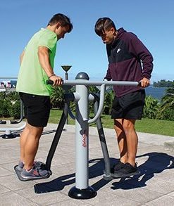 Διπλό Όργανο Περιστροφής Μέσης DP658 — Dias Sport Двоен тренажор за талия DP658-2