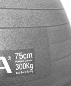 Μπάλα γυμναστικής AMILA 75 cm - Γκρι, χωρίς αντλία — Dias Sport Гимнастическа топка - 75 см-3