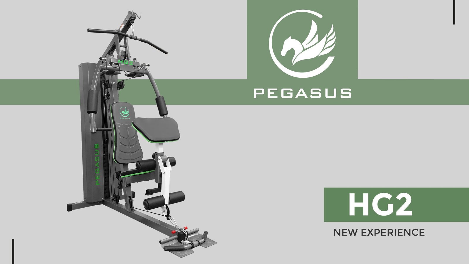 Гладиатор с тежести Pegasus® HG2 — Dias Sport Гладиатор с тежести Pegasus® HG2