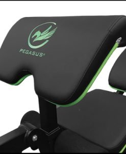 Регулируема пейка за вдигане на тежести Pegasus® MB10 — Dias Sport Регулируема пейка за вдигане на тежести