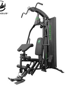 Гладиатор с тежести Pegasus® HG4