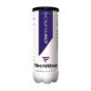 Μπάλες τένις Tecnifibre CHAMPION X3 — Dias Sport кашон тенис топки champion по 3 в кутия