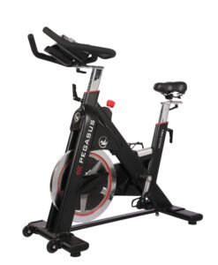 Спинбайк Pegasus® PG5 — Dias Sport