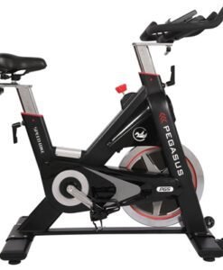 Спинбайк Pegasus® PG5