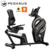 Велоергометър Pegasus® B15 — Dias Sport