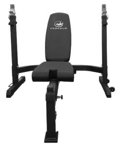 Регулируема лежанка Pegasus® PG-5101 — Dias Sport