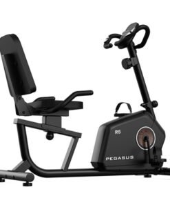 Велоергометър Pegasus® R5 Recumbent Bike